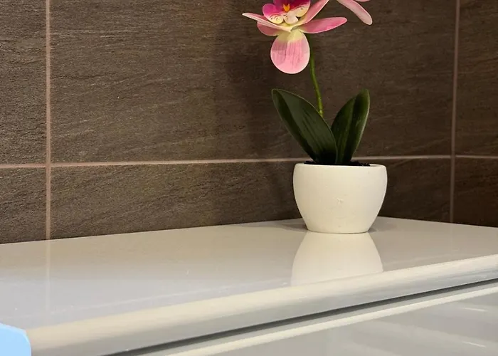 Dzīvoklis Martina Cozy Blaumana